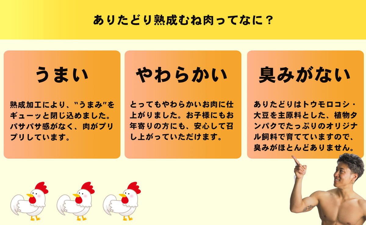 【12回定期便 総計28.8kg】 ありたどり 熟成むね肉 計2.4kg (300g