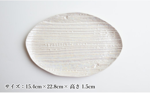 【メイン料理からデザートプレートまで】有田焼 21cm 木目