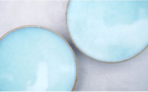 有田焼 月白小皿 2枚セット【梶原大敬 茂正工房】器 うつわ