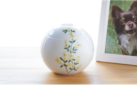 有田焼 Angel’s home 天使たちのおうち AKAE MIMOZA -アカエ ミモ