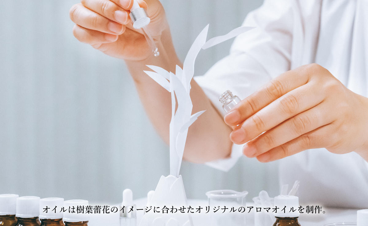 【切り紙文様のレリーフ】有田焼 樹葉蕾花 香折切 (アロマ