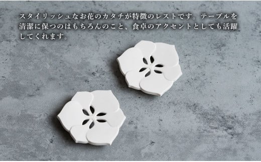 【切り紙文様のレリーフ】有田焼 樹葉蕾花 パスタランチセ