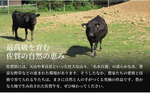 佐賀牛ヒレ肉ステーキ 3枚 極上のやわらかさと旨み＜計470g