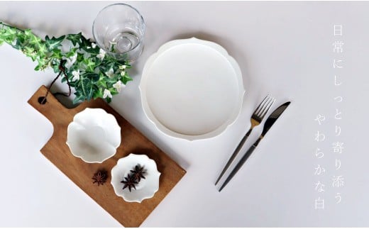 有田焼 白マット 桔梗渕 3点 セット【深海三龍堂】食器 器 