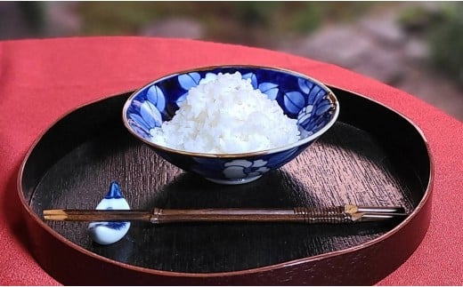 有田焼 渕錆染付 総手描き ひまわり絵平飯碗 ～華一園シリ