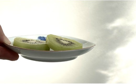 有田焼 山水絵小皿セット（2枚1組）【起山窯】食器 うつわ 