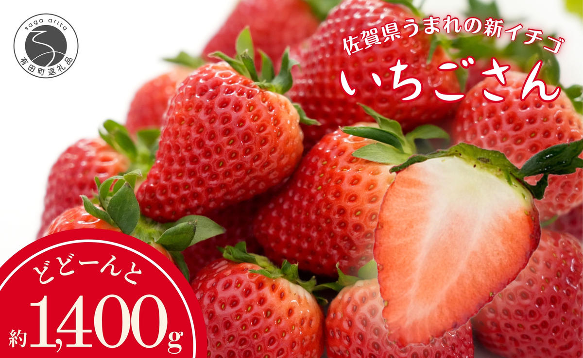 【眺めてうっとり、かじって甘い！】JAの「いちごさん」240