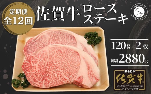 【12回定期便 総計2880g】佐賀牛 ロースステーキ 120g×2枚 N220-