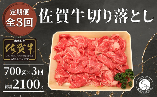【3回定期便 総計2100g】【佐賀牛】切り落とし肉700g N90-6