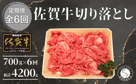【6回定期便 総計4200g】【佐賀牛】切り落とし肉700g N180-5