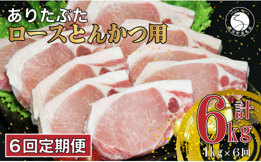 【6回定期便 総計6kg】 ありたぶた ロース とんかつ用 約1kg (