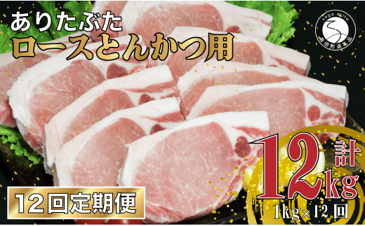 【12回定期便 総計12kg】 ありたぶた ロース とんかつ用 約1kg