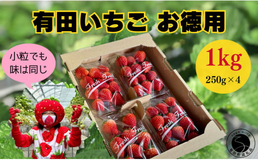 【2026年2月～順次発送】有田いちご 1kg お徳用いちご ちょっ