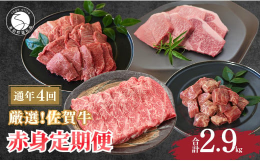 厳選！佐賀牛 赤身 定期便 全4回 モモ カタ スライス 焼き肉