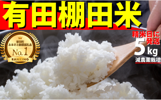 ＜予約受付＞【10月下旬より順次発送】【数量限定】令和7