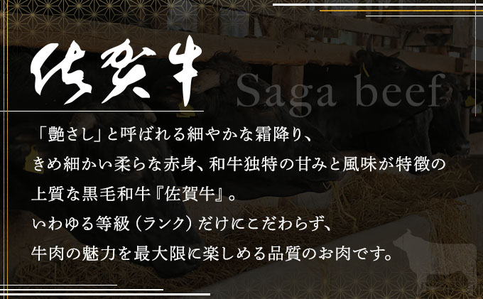 佐賀牛サーロインステーキ・佐賀牛柔らかハンバーグステーキ（計720g） 佐賀 大町町 肉 お肉 牛肉 サーロイン ステーキ 焼肉 贈答 ブランド牛 国産 霜降り ギフト グルメ 国産牛 特産品 お祝い 贈り物 プレゼント 冷凍 計720g