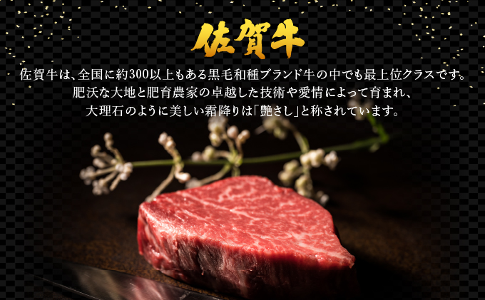 佐賀牛ハンバーグ　120g×5個【06ff-0033】