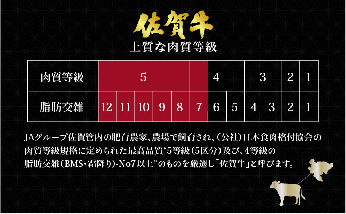 ＜定期便3回＞佐賀牛 シャトーブリアンステーキ 1kg(200g×5枚)
