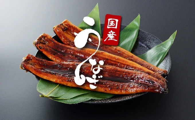 ＜2026年2月配送開始／定期便2回＞ うなぎ蒲焼き 計800g (200g×2尾×2回) 2026年2月配送開始