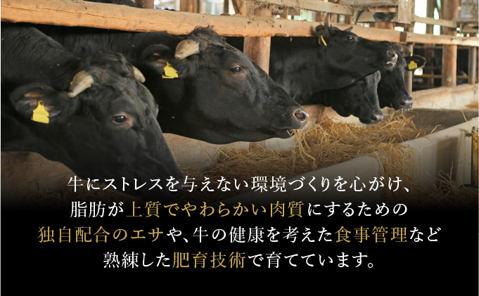 ＜定期便3回＞佐賀牛ステーキ食べ比べ