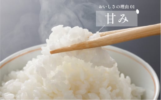 【先行予約 令和7年産 夢しずく 10kg 29kg-0010