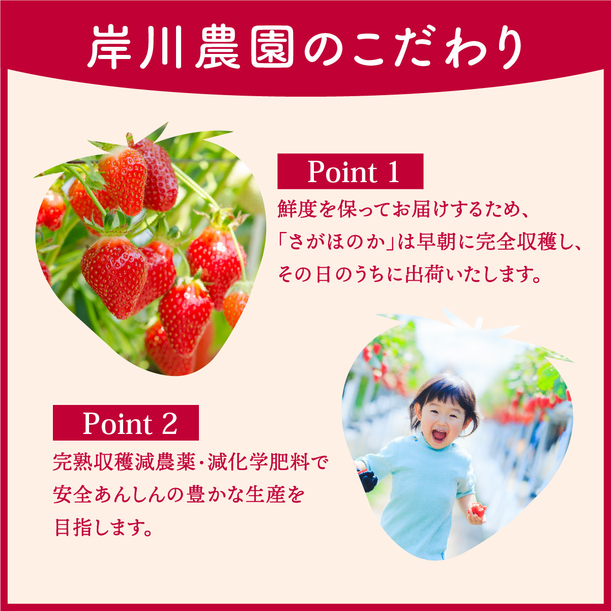 さがほのか 880g (220g×4p)