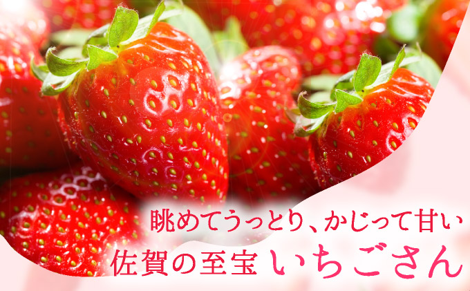 佐賀県産 いちごさん960g(240g×4P)1月～2月発送