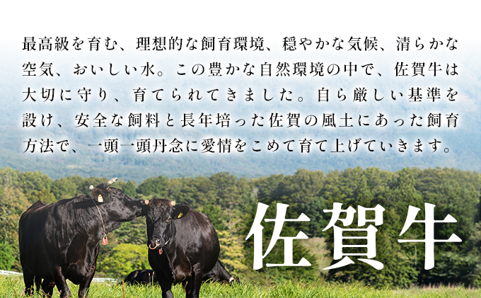 艶さし！【A4～A5】佐賀牛 切り落とし1kg (500g×2p)