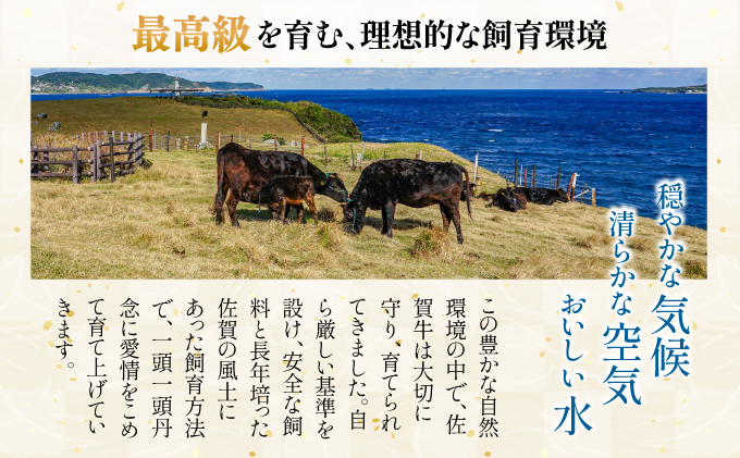 訳あり！艶さし！【A4～A5】佐賀牛焼肉切り落とし(肩ロース・バラ）　1kg（500g×2P）
