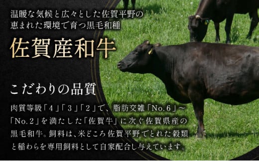 艶さし！【厳選部位】【A4～A5】佐賀牛サーロインしゃぶしゃぶすき焼き用　300ｇ