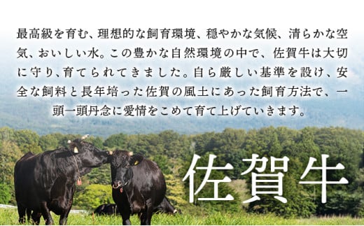 艶さし！【A4～A5】佐賀牛しゃぶしゃぶすき焼き用（肩ロース肉・肩バラ・モモ肉）400ｇ