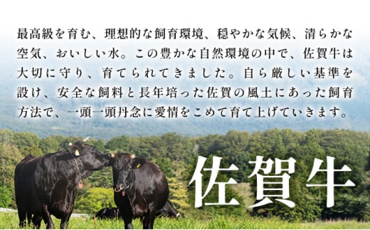 艶さし！【A4～A5】佐賀牛サーロインステーキ　250ｇ（250ｇ×1枚）