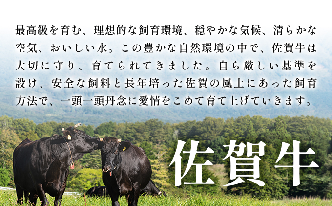 【厳選希少部位】【A4～A5】佐賀牛ミスジステーキ　約300ｇ（100ｇ×3ｐ）