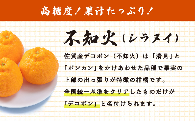 [先行予約] 佐賀産 デコポン8〜12玉(約2.5kg箱)