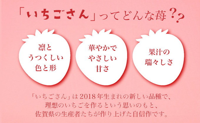 佐賀産 いちごさん 8パック