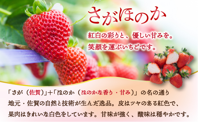 佐賀産 さがほのか8パック【41nf-011】