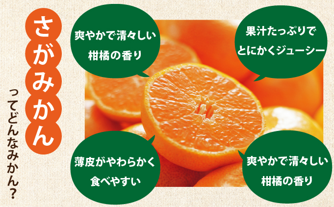 柑橘の名産地 佐賀産さがみかん約5kg箱
