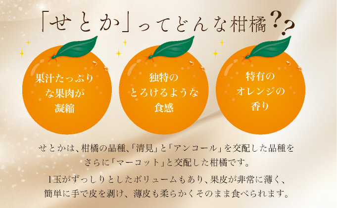 【先行予約】みかんの「大トロ」佐賀産かんきつ・せとか 約1.5kg(4-8玉) / ふるさと納税 佐賀 フルーツ濃厚 甘い 酸味 大町 贈答 ギフト 贈り物【41nf-014】