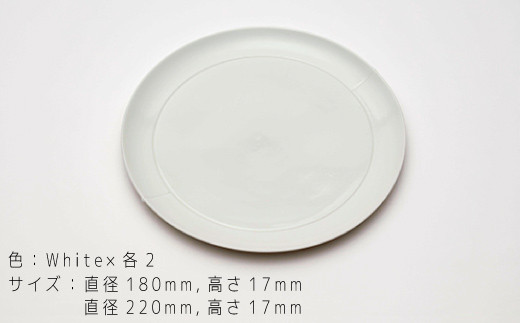 【ARITAブランド】2016/クリスチャン･メンデルツマのプレートセット