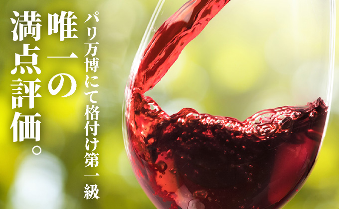 坑道熟成高級ワイン（シャトーマルゴー）1本×750ml | 赤ワイン フランス産 カルベネ・ソーヴィニヨン 熟成高級ワイン 五大シャトー 佐賀県 大町 [SS001_2]