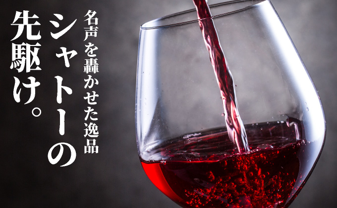 坑道熟成高級ワイン（シャトームートンロートシルト）1本×750ml | 赤ワイン フランス産 カルベネ・ソーヴィニヨン 熟成高級ワイン 五大シャトー 佐賀県 大町 [SS001_3]