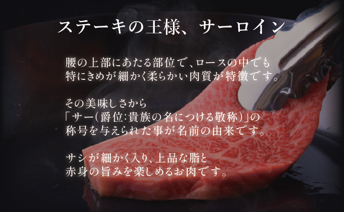 【佐賀牛サーロインステーキ】佐賀牛サーロインステーキ 500g (250g×2枚)