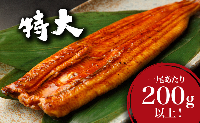 うなぎ蒲焼き 800g (200g×4尾)