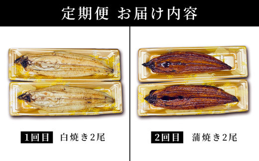 ＜定期便2回＞ うなぎ 蒲焼き 白焼き 食べ比べセット 計800g (各200g×2尾×2回)
