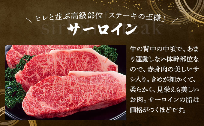 佐賀牛サーロインステーキ（600g）佐賀 大町町 肉 お肉 牛肉 サーロイン ステーキ 焼肉 贈答 ブランド牛 国産 霜降り ギフト グルメ 国産牛 特産品 お祝い 贈り物 プレゼント 冷凍 600g