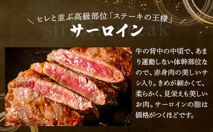 佐賀牛サーロインステーキ・佐賀牛柔らかハンバーグステーキ（計720g） 佐賀 大町町 肉 お肉 牛肉 サーロイン ステーキ 焼肉 贈答 ブランド牛 国産 霜降り ギフト グルメ 国産牛 特産品 お祝い 贈り物 プレゼント 冷凍 計720g