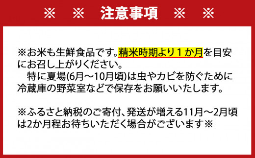 ＜先行予約＞ [令和7年産] ＜定期便6回＞ 特A評価 さがびより 白米 5kg×6回 15ob-0007-202506