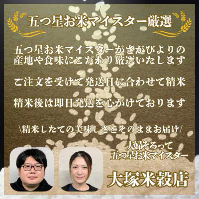 [令和7年産]【無洗米】さがびより 3kg [15年連続特A評価! 五つ星お米マイスター厳選! ] 【無洗米】3kg