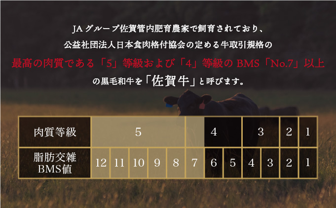佐賀牛ハンバーグ 150g×6個