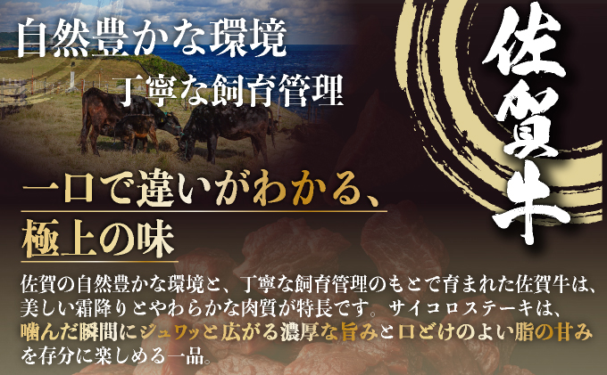 佐賀牛サイコロステーキ400g【25gf-0047】